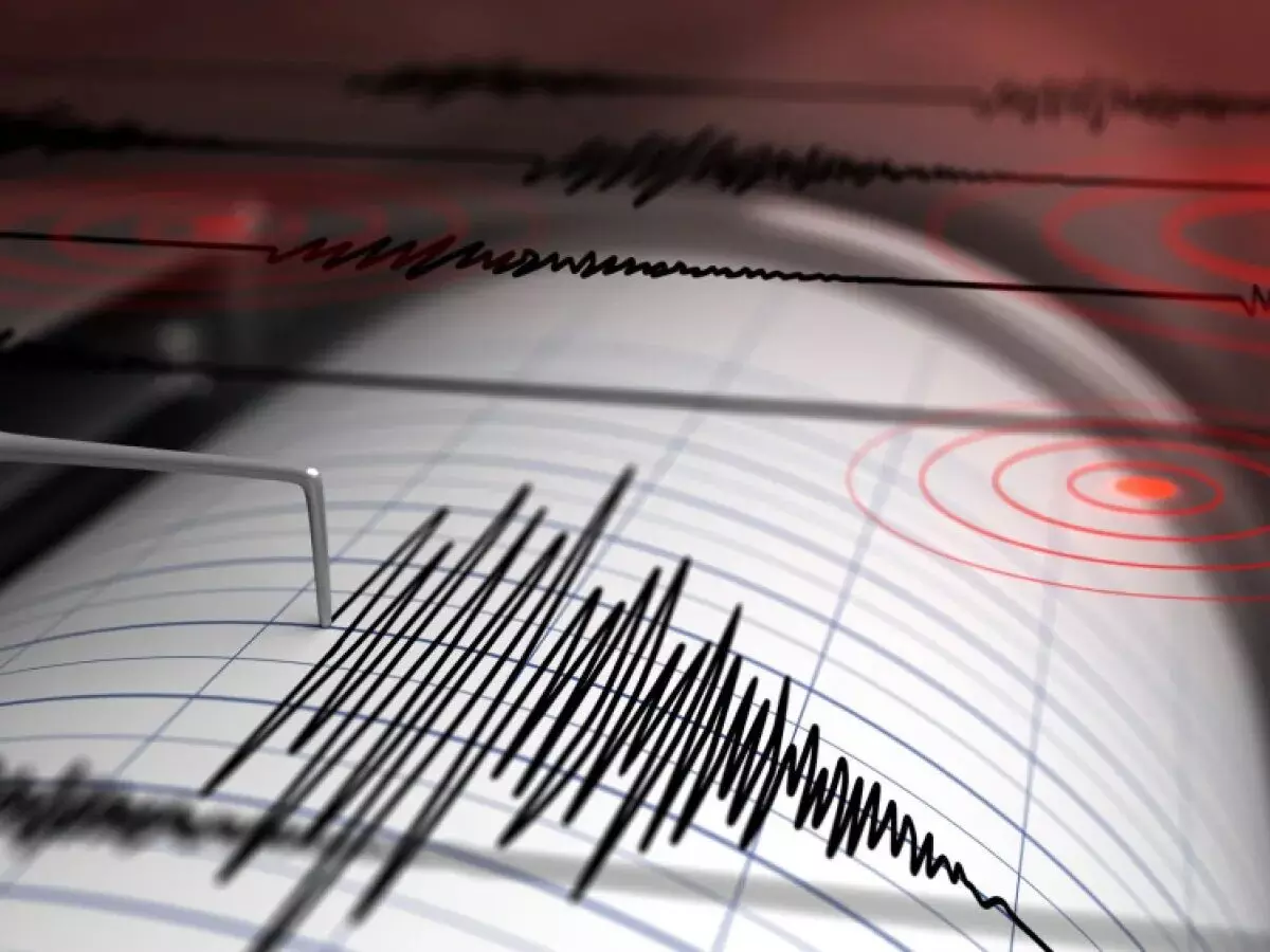 Earthquake: न्यूजीलैंड में 5.9 तीव्रता का भूकंप, सुनामी अलर्ट जारी; गुजरात के कच्छ में भी महसूस हुए झटके Earthquake: न्यूजीलैंड में 5.9 तीव्रता का भूकंप, सुनामी अलर्ट जारी; गुजरात के कच्छ में भी महसूस हुए झटके