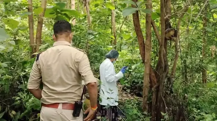CG Mystery : महामाया पहाड़ पर पेड़ से लटका मिला युवती का कंकाल, पहचान में जुटी पुलिस