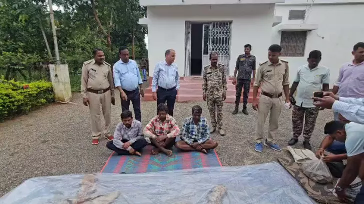 Surajpur Tiger Skin Smuggling : सूरजपुर में बाघ की खाल के साथ तीन तस्कर गिरफ्तार, वन विभाग ने खरीदार बनकर किया बड़ा खुलासा Surajpur Tiger Skin Smuggling : सूरजपुर में बाघ की खाल के साथ तीन तस्कर गिरफ्तार, वन विभाग ने खरीदार बनकर किया बड़ा खुलासा