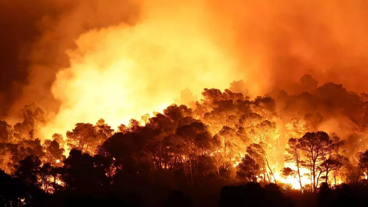 Europe Wildfire : स्पेन-फ्रांस के जंगलों में लगी आग ने मचाई तबाही, 15 की मौत, 3 लाख लोग हुए बेघर Europe Wildfire : स्पेन-फ्रांस के जंगलों में लगी आग ने मचाई तबाही, 15 की मौत, 3 लाख लोग हुए बेघर