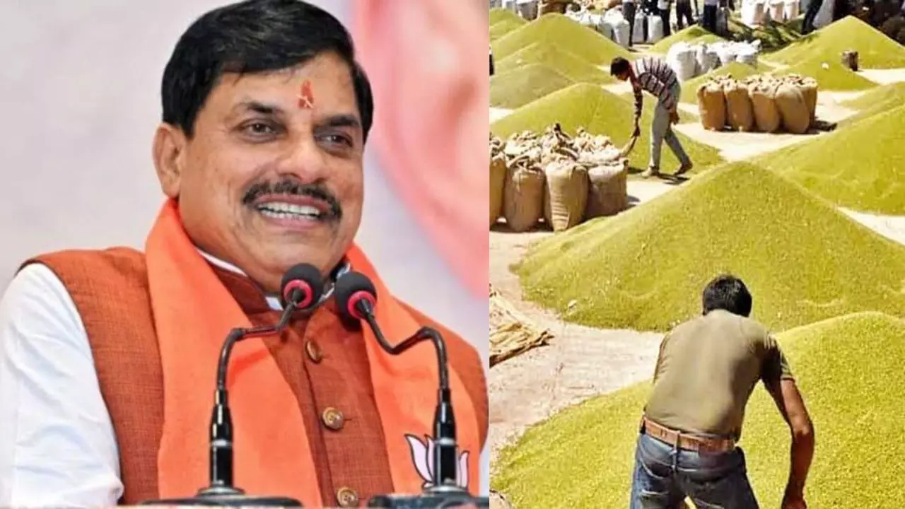 MP में मूंग खरीदी पर किसानों को बड़ी राहत, अब 25% नहीं 60% उपार्जन; स्लॉट बुकिंग की तारीख बढ़ी MP में मूंग खरीदी पर किसानों को बड़ी राहत, अब 25% नहीं 60% उपार्जन; स्लॉट बुकिंग की तारीख बढ़ी