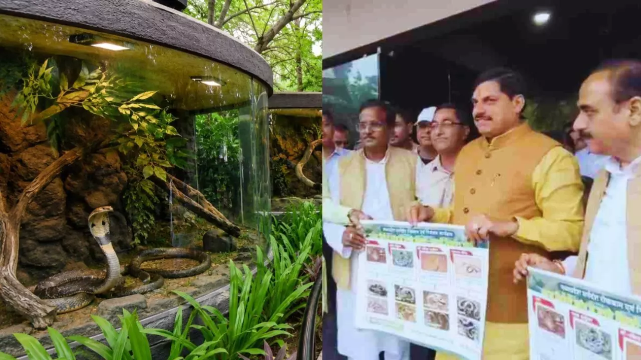 MP News : सिंहस्थ 2028 से पहले उज्जैन को बड़ी सौगात, 15 करोड़ में बनेगा आधुनिक सर्प उद्यान