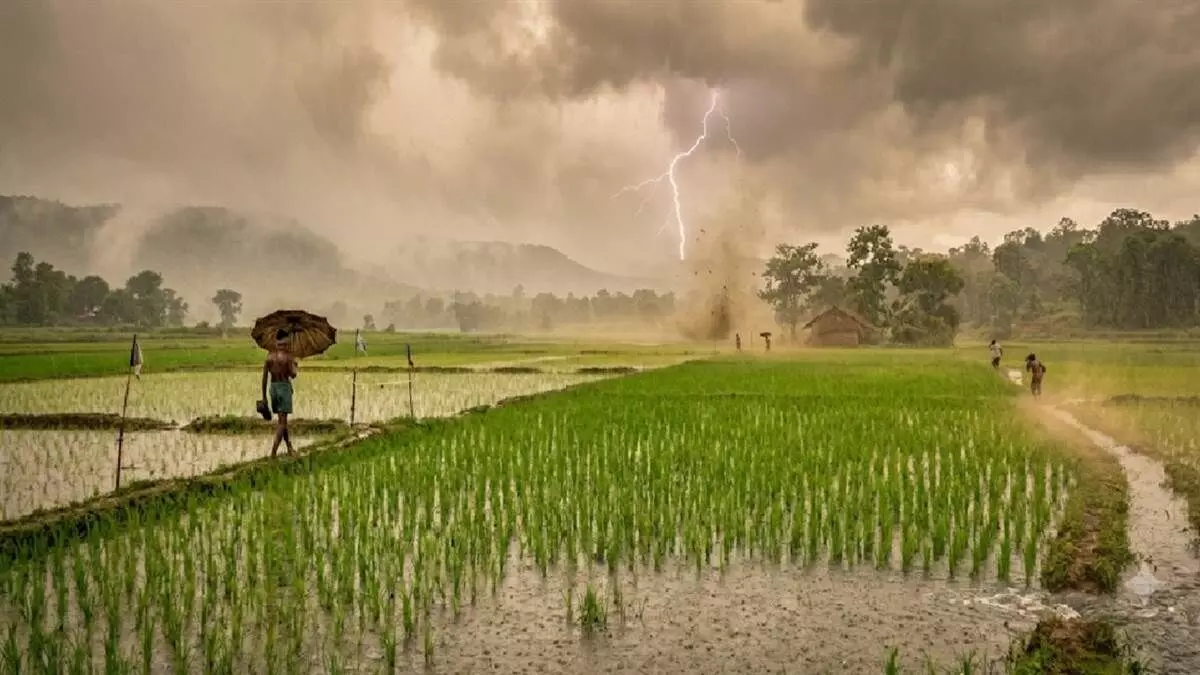 CG Weather Update : बस्तर-दुर्ग में झमाझम, रायपुर सबसे गर्म, आज भी बारिश और बिजली गिरने की चेतावनी CG Weather Update : बस्तर-दुर्ग में झमाझम, रायपुर सबसे गर्म, आज भी बारिश और बिजली गिरने की चेतावनी