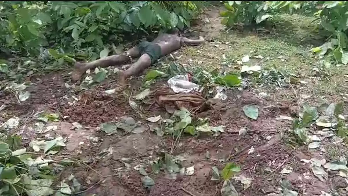 CG News : दल से बिछड़े हाथी का जानलेवा हमला, खेत से लौट रहे किसान को पटक-पटककर मार डाला CG News : दल से बिछड़े हाथी का जानलेवा हमला, खेत से लौट रहे किसान को पटक-पटककर मार डाला