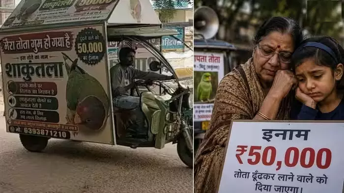 MP News : ‘बस मिट्ठू घर लौट आए…’ ग्वालियर में लापता तोते की तलाश में परिवार ने रखा 50 हजार का इनाम MP News : ‘बस मिट्ठू घर लौट आए…’ ग्वालियर में लापता तोते की तलाश में परिवार ने रखा 50 हजार का इनाम