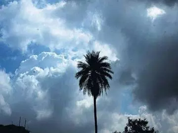 CG Weather Update : मौसम ने ली करवट, रायपुर समेत 22 जिलों में बारिश-आंधी और बिजली का अलर्ट CG Weather Update : मौसम ने ली करवट, रायपुर समेत 22 जिलों में बारिश-आंधी और बिजली का अलर्ट