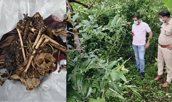 CG Crime : 6 दिन से लापता महिला का जंगल में मिला कंकाल, पेड़ से बंधी मिली साड़ी, फोरेंसिक जांच शुरू