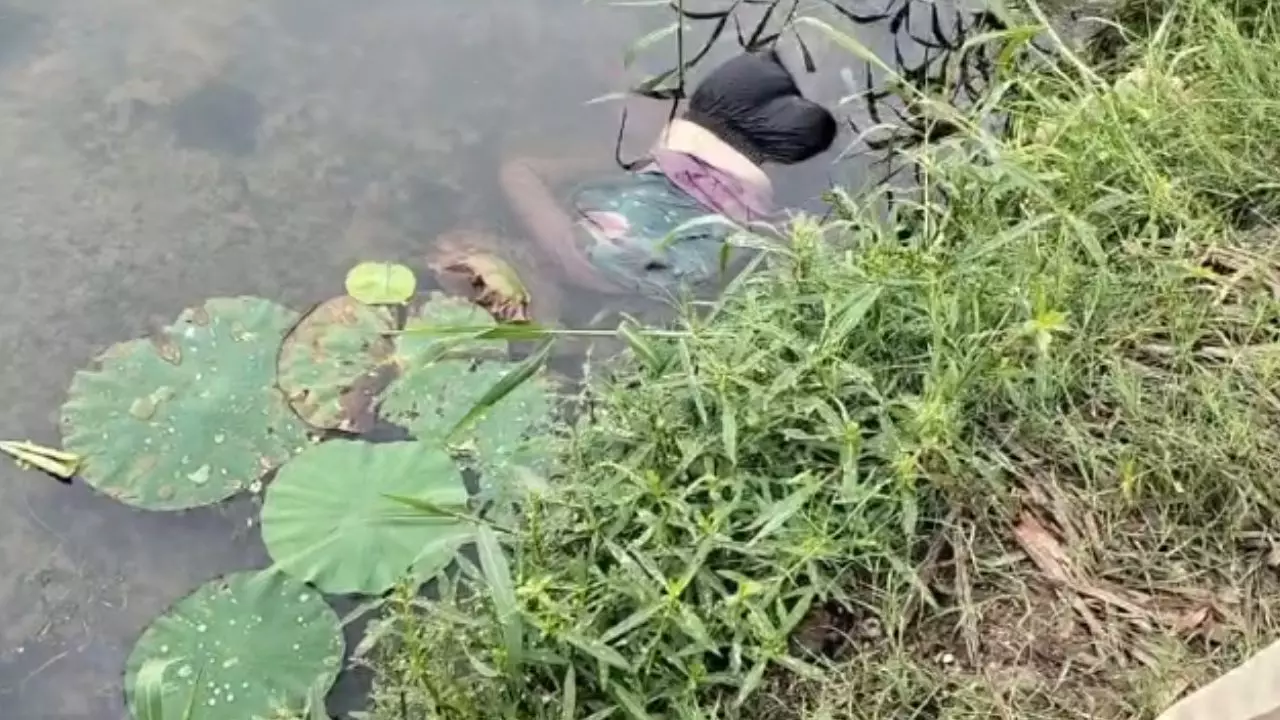 Raipur City News : WRS कॉलोनी के तालाब में मिली युवती की लाश, मोबाइल बरामद, मौत की गुत्थी सुलझाने में जुटी पुलिस Raipur City News : WRS कॉलोनी के तालाब में मिली युवती की लाश, मोबाइल बरामद, मौत की गुत्थी सुलझाने में जुटी पुलिस