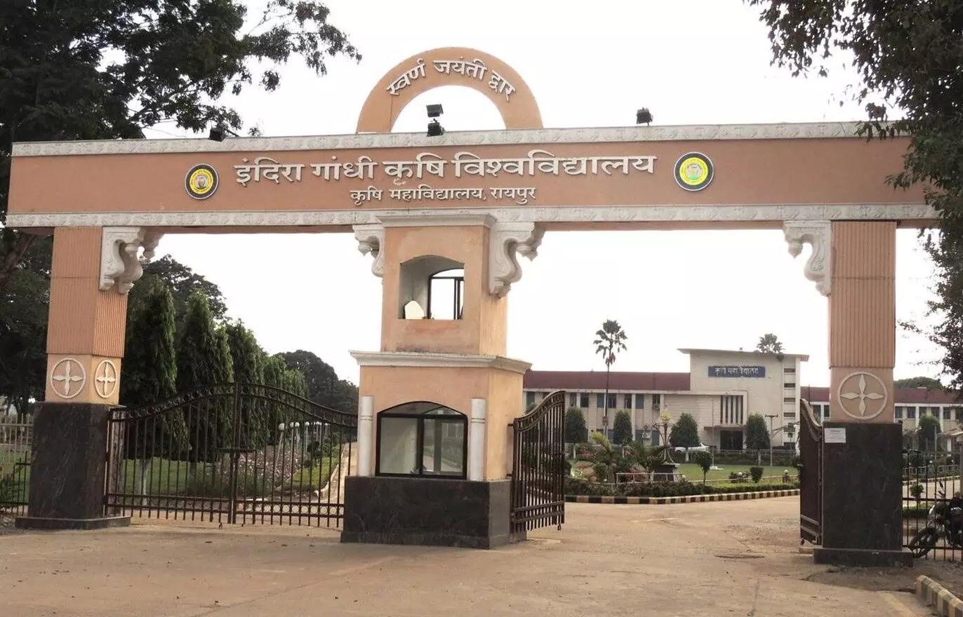 CG Education : कृषि स्नातक प्रवेश के लिए ऑनलाइन काउंसलिंग 5 अगस्त से, 18 अगस्त को होगा सीट आवंटन