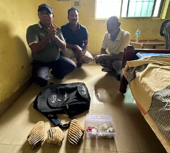 CG Crime : हाथी दांत तस्करी का भंडाफोड़, संयुक्त टीम ने तीन आरोपियों को दबोचा, भेजे गए जेल
