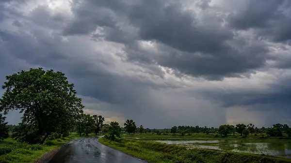 CG Weather : छत्तीसगढ़ में फिर सक्रिय हुआ मानसून, 5 जिलों में भारी बारिश का अलर्ट, रायपुर में तेज हवाओं की चेतावनी