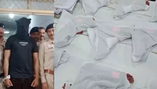 MP Crime : MP-महाराष्ट्र बॉर्डर पर पुलिस की कार्रवाई, 13 देशी पिस्टल और 45 कारतूस के साथ तस्कर गिरफ्तार