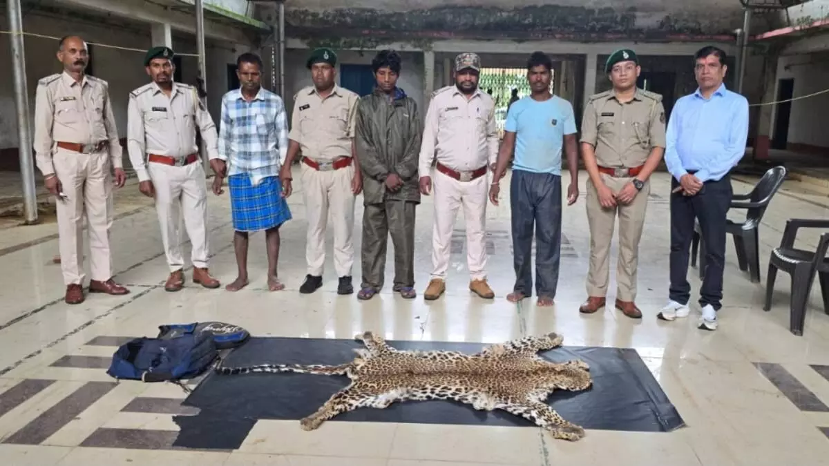 CG News : तेंदुए की खाल तस्करी की कोशिश नाकाम, 3 आरोपी गिरफ्तार, दो बाइक जब्त CG News : तेंदुए की खाल तस्करी की कोशिश नाकाम, 3 आरोपी गिरफ्तार, दो बाइक जब्त