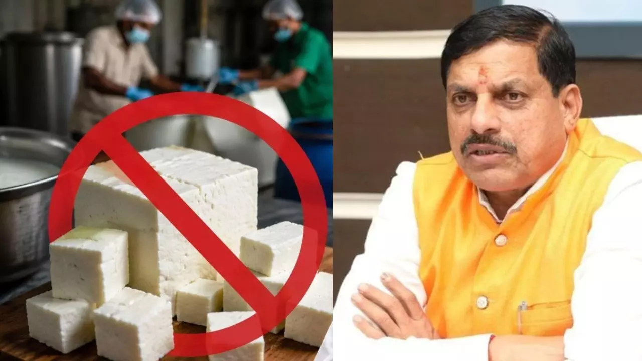 MP सरकार का बड़ा फैसला, एनालॉग पनीर पर लगा बैन MP सरकार का बड़ा फैसला, एनालॉग पनीर पर लगा बैन