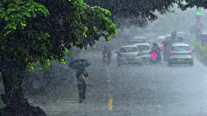 Chhattisgarh Weather: आज छत्तीसगढ़ में कैसा रहेगा मौसम? उत्तर हिस्से में भारी बारिश के साथ बिजली गिरने की चेतावनी, जानें राजधानी का हाल Chhattisgarh Weather: आज छत्तीसगढ़ में कैसा रहेगा मौसम? उत्तर हिस्से में भारी बारिश के साथ बिजली गिरने की चेतावनी, जानें राजधानी का हाल