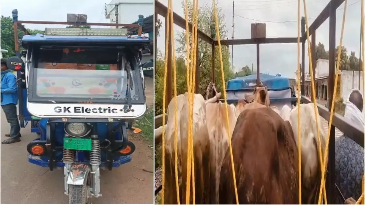 CG News : ई-रिक्शा में ठूंसकर ले जा रहे थे 5 मवेशी, दो गिरफ्तार CG News : ई-रिक्शा में ठूंसकर ले जा रहे थे 5 मवेशी, दो गिरफ्तार