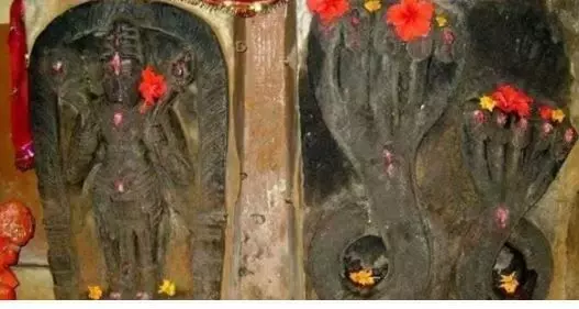 Nagfani Temple Dantewada: सावन सोमवार और नागपंचमी पर नागफनी मंदिर में उमड़ी आस्था, नागवंशी राजाओं से जुड़ा है इतिहास