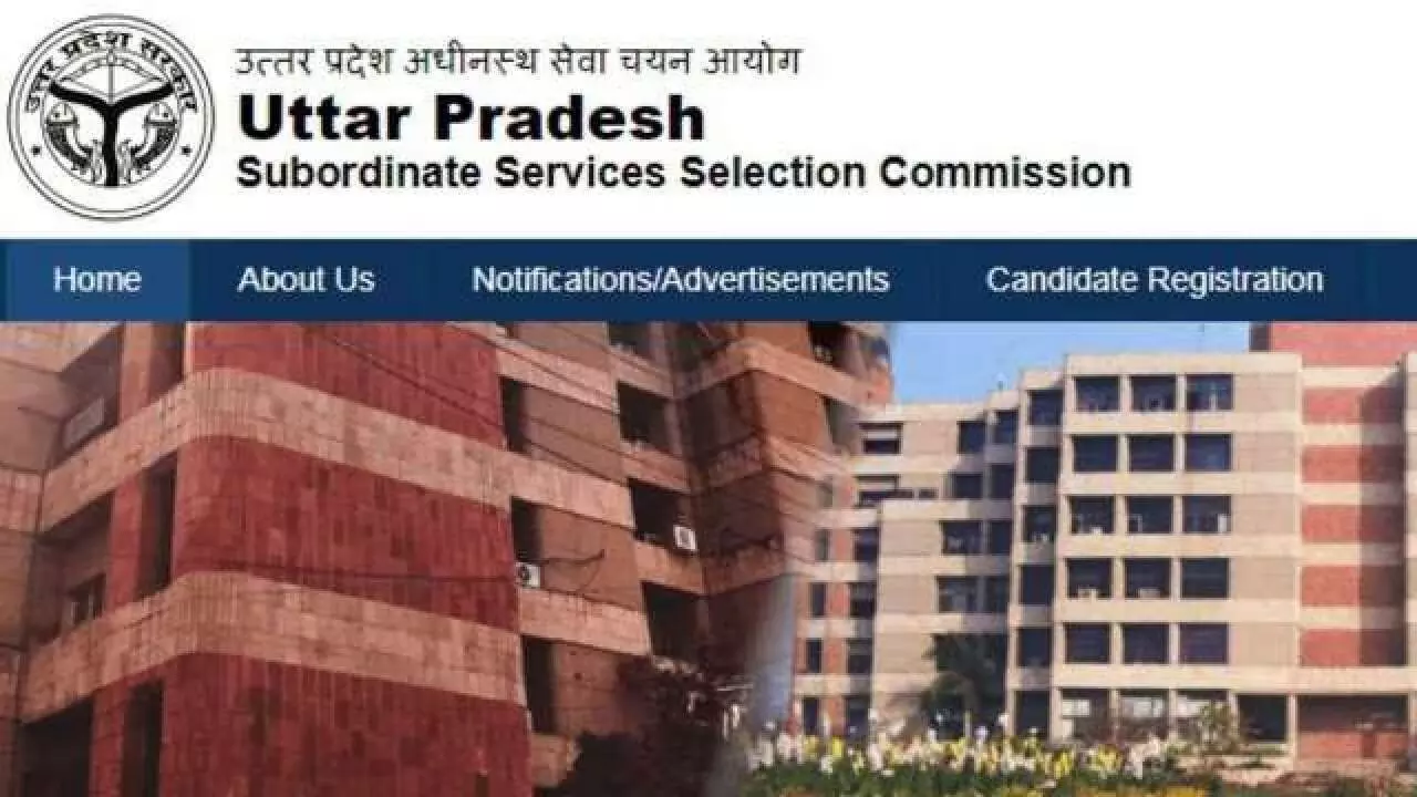 UPSSSC लोअर PCS मुख्य परीक्षा का एडमिट कार्ड जारी, इस दिन परीक्षा, ऐसे करें डाउनलोड UPSSSC लोअर PCS मुख्य परीक्षा का एडमिट कार्ड जारी, इस दिन परीक्षा, ऐसे करें डाउनलोड