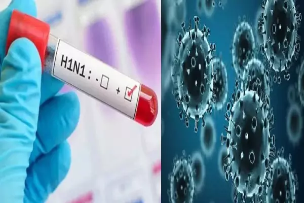 CG News : दुर्ग में स्वाइन फ्लू की दस्तक, 2 साल की बच्ची H1N1 पॉजिटिव, स्वास्थ्य विभाग अलर्ट CG News : दुर्ग में स्वाइन फ्लू की दस्तक, 2 साल की बच्ची H1N1 पॉजिटिव, स्वास्थ्य विभाग अलर्ट