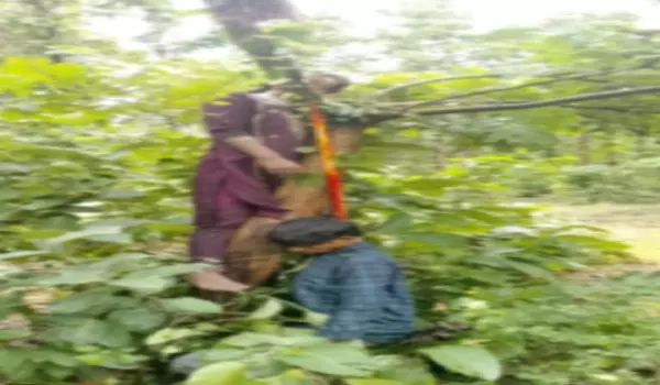 CG News : प्रेमी जोड़े की मौत से फैली सनसनी, जंगल में पेड़ से लटके मिले दोनों के शव CG News : प्रेमी जोड़े की मौत से फैली सनसनी, जंगल में पेड़ से लटके मिले दोनों के शव