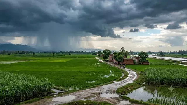 CG Weather : मानसून की रफ्तार होगी धीमी, 12 जिलों में आज बारिश का यलो अलर्ट, कल से राहत के आसार CG Weather : मानसून की रफ्तार होगी धीमी, 12 जिलों में आज बारिश का यलो अलर्ट, कल से राहत के आसार