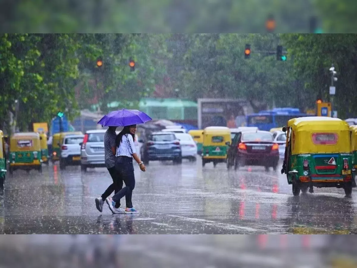 CG Weather Today: छत्तीसगढ़ में मानसून फिर हुआ सक्रिय, 5 दिन तक भारी बारिश के आसार; रायपुर में बौछार CG Weather Today: छत्तीसगढ़ में मानसून फिर हुआ सक्रिय, 5 दिन तक भारी बारिश के आसार; रायपुर में बौछार