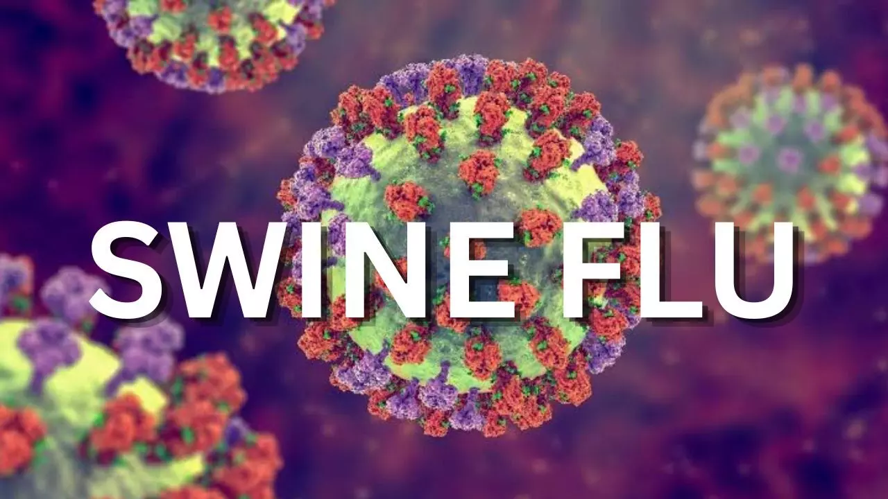 MP Swine Flu Alert: भोपाल में स्वाइन फ्लू से पहली मौत, प्रदेश में 65 मरीज मिले; स्वास्थ्य विभाग सतर्क MP Swine Flu Alert: भोपाल में स्वाइन फ्लू से पहली मौत, प्रदेश में 65 मरीज मिले; स्वास्थ्य विभाग सतर्क