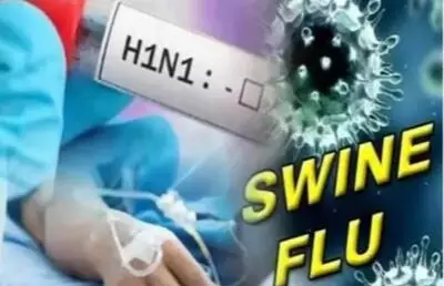 Swine Flu Case Chhattisgarh: सर्दी-खांसी को न समझें मामूली, जांजगीर-चांपा में स्वाइन फ्लू से मौत, रायपुर से आए युवक की रिपोर्ट भी पॉजिटिव Swine Flu Case Chhattisgarh: सर्दी-खांसी को न समझें मामूली, जांजगीर-चांपा में स्वाइन फ्लू से मौत, रायपुर से आए युवक की रिपोर्ट भी पॉजिटिव