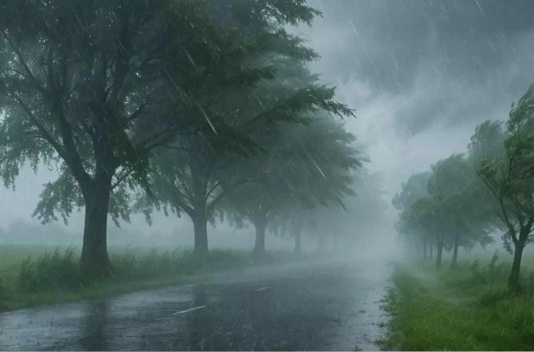 CG Weather : गर्मी से राहत की उम्मीद, 19 सितंबर से फिर बढ़ेगी बारिश की रफ्तार CG Weather : गर्मी से राहत की उम्मीद, 19 सितंबर से फिर बढ़ेगी बारिश की रफ्तार