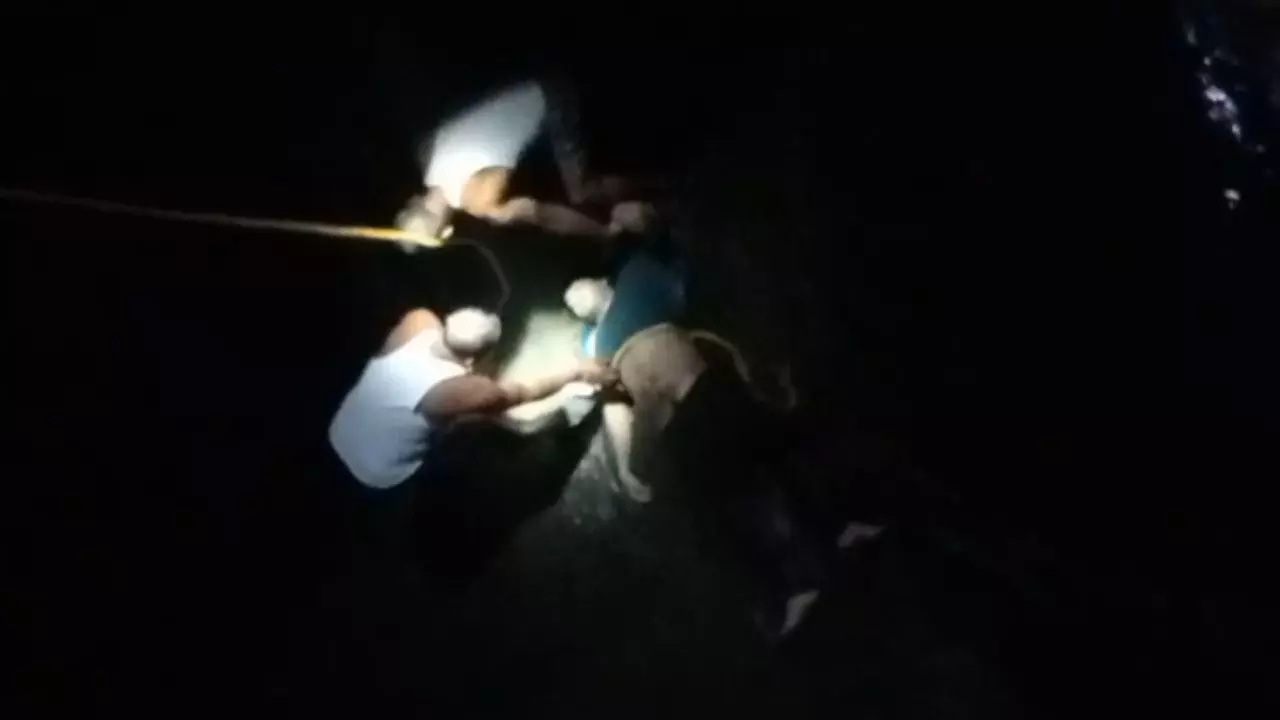MP : युवक ने नाले में लगाई छलांग, डूबने से मौत; पुलिस ने 4 को लिया हिरासत में MP : युवक ने नाले में लगाई छलांग, डूबने से मौत; पुलिस ने 4 को लिया हिरासत में