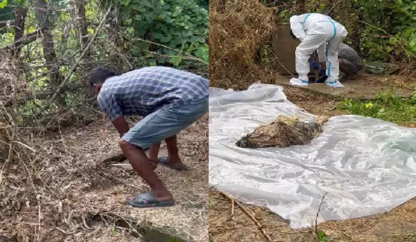CG Crime : पति पर पत्नी की हत्या का आरोप, सेप्टिक टैंक में छिपाया शव, 23 दिन बाद सामने आया मामला CG Crime : पति पर पत्नी की हत्या का आरोप, सेप्टिक टैंक में छिपाया शव, 23 दिन बाद सामने आया मामला