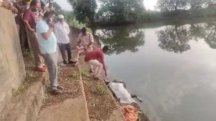 CG News : तालाब में तैरती मिली लापता युवती की लाश, पुलिस जांच में जुटी CG News : तालाब में तैरती मिली लापता युवती की लाश, पुलिस जांच में जुटी