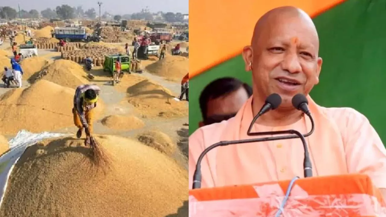 UP News: यूपी में 80 लाख से ज्यादा किसानों से खरीदा गया 519 लाख मीट्रिक टन धान, ₹1.03 लाख करोड़ से अधिक का भुगतान UP News: यूपी में 80 लाख से ज्यादा किसानों से खरीदा गया 519 लाख मीट्रिक टन धान, ₹1.03 लाख करोड़ से अधिक का भुगतान