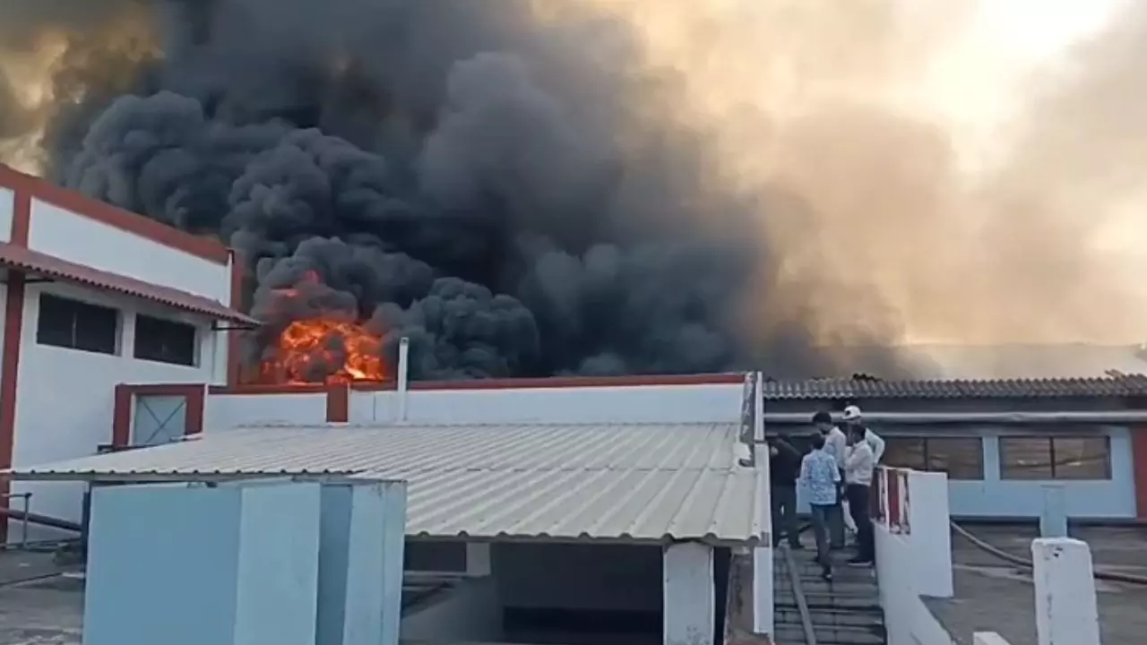 Parle G Factory Fire: पारले-जी फैक्ट्री के गोदाम में लगी भीषण आग, करोड़ों के नुकसान की आशंका Parle G Factory Fire: पारले-जी फैक्ट्री के गोदाम में लगी भीषण आग, करोड़ों के नुकसान की आशंका