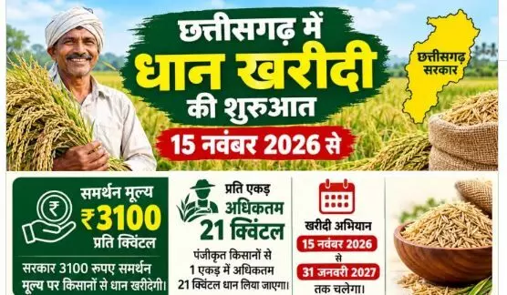 Chhattisgarh Dhan Kharidi 2026: छत्तीसगढ़ में 15 नवंबर से धान खरीदी शुरू, जानें इस साल कितना है सर्मथन मूल्य और जरूरी नियम Chhattisgarh Dhan Kharidi 2026: छत्तीसगढ़ में 15 नवंबर से धान खरीदी शुरू, जानें इस साल कितना है सर्मथन मूल्य और जरूरी नियम