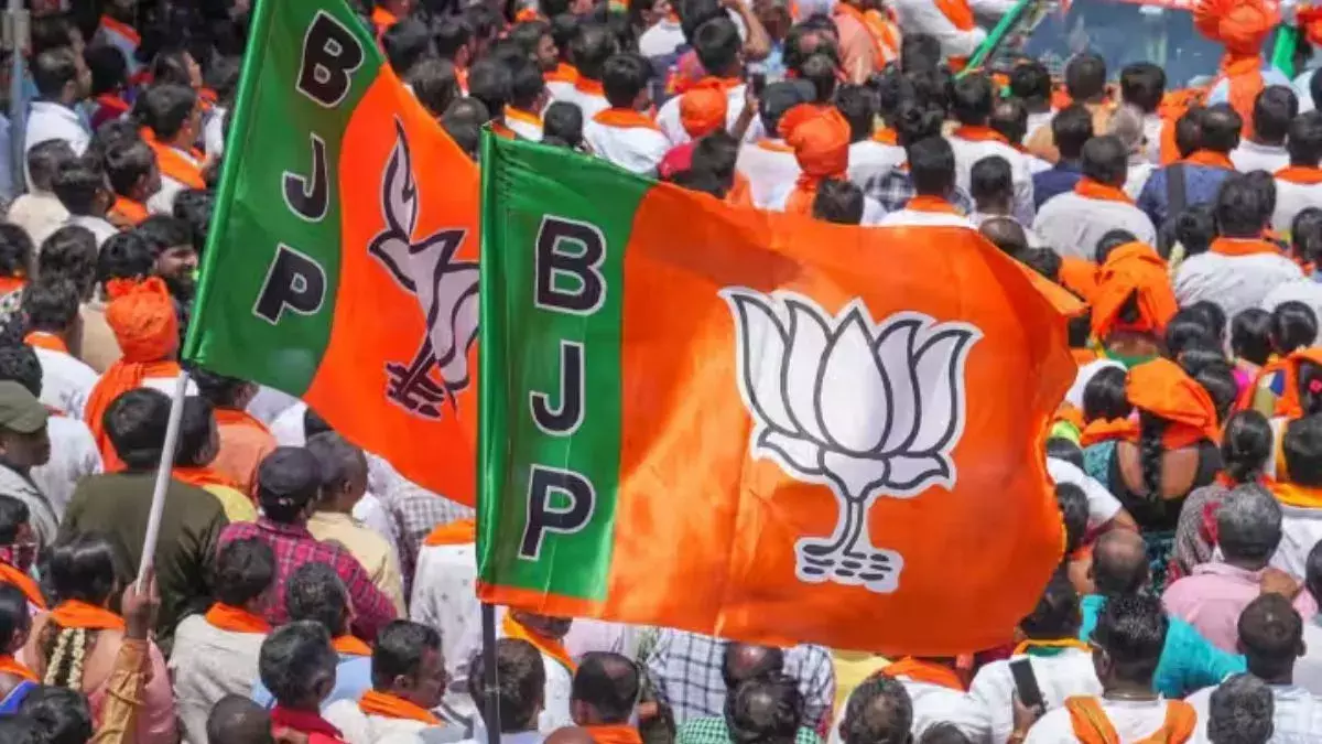 Chhattisgarh BJP: प्रदेश स्तर पर जनजातीय गौरव दिवस के लिए भाजपा ने की पदाधिकारियों की नियुक्ति, देखें पूरी सूची Chhattisgarh BJP: प्रदेश स्तर पर जनजातीय गौरव दिवस के लिए भाजपा ने की पदाधिकारियों की नियुक्ति, देखें पूरी सूची