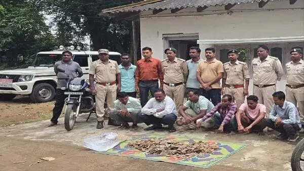 CG News : वन विभाग की बड़ी कार्रवाई, 14 किलो पैंगोलिन शल्क के साथ 6 तस्कर गिरफ्तार CG News : वन विभाग की बड़ी कार्रवाई, 14 किलो पैंगोलिन शल्क के साथ 6 तस्कर गिरफ्तार